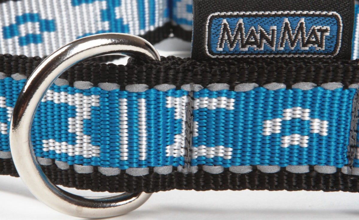 Collar standard with D-ring