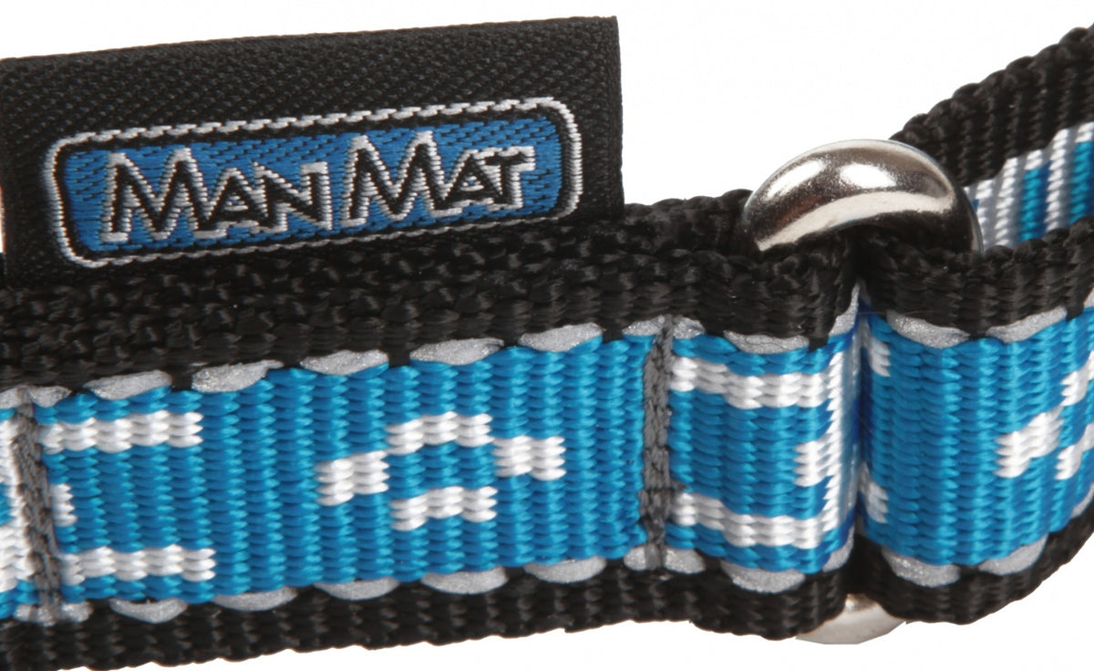 Collar standard with D-ring